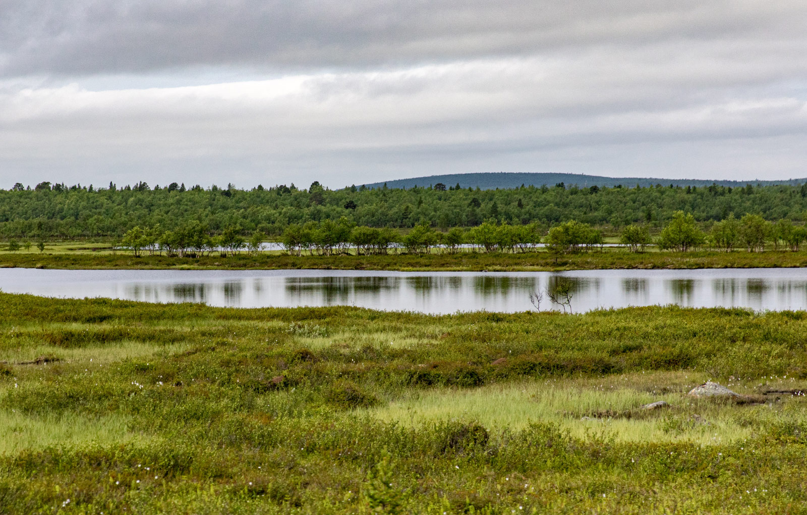 Utsjoki (Photo license: CC BY 2.0)